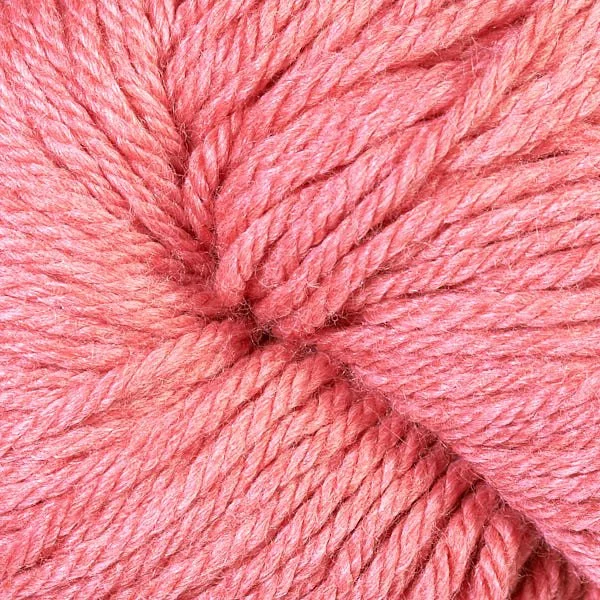 VC Guava 61193.jpg