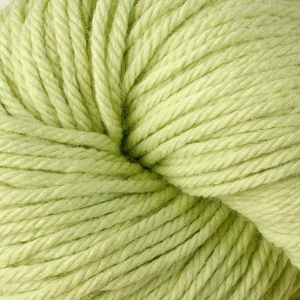 VC Kiwi 6124.jpg