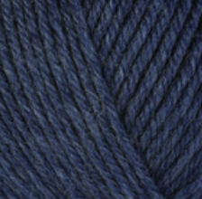 UW 33138 Delphinium.png