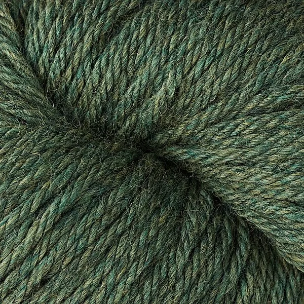VC 61174 Spruce.jpg