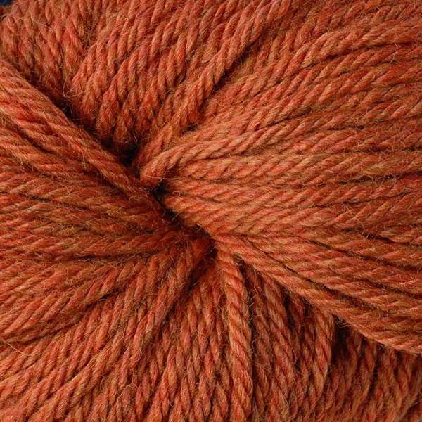VC 6176 Pumpkin.jpg