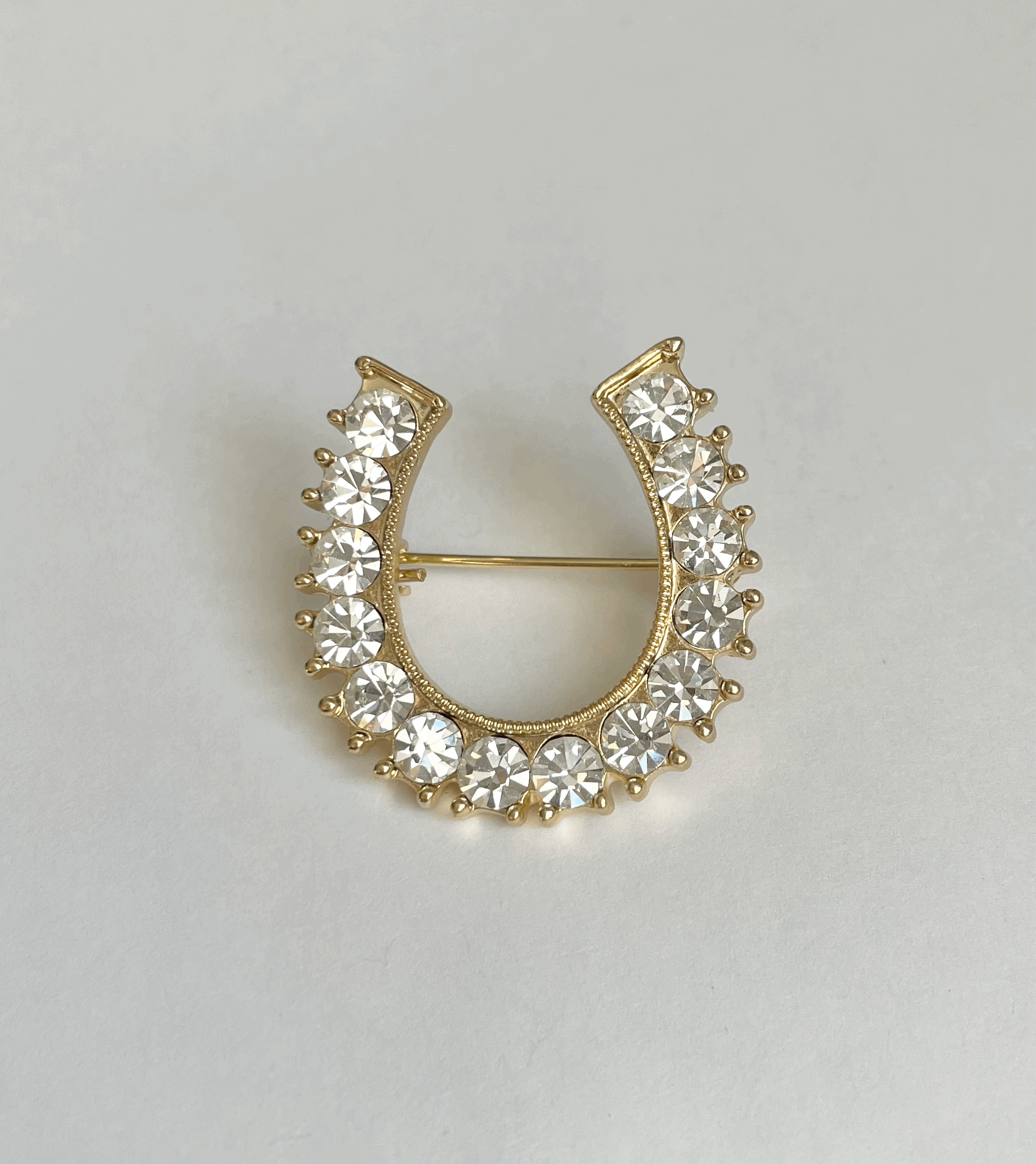Horseshoe brooch