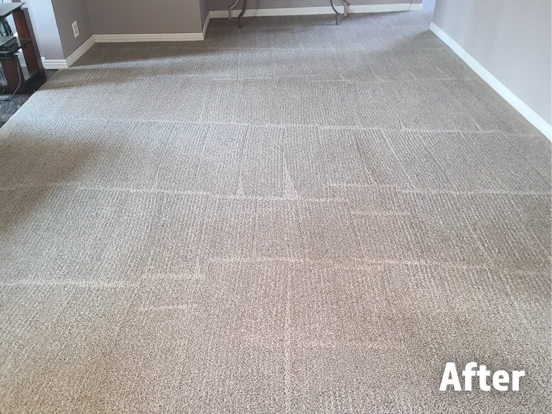 Carpet cleaned by Dad's Carpet care