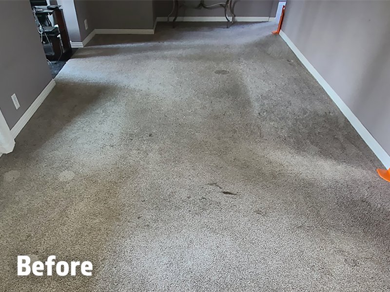 Dirty carpet in a home