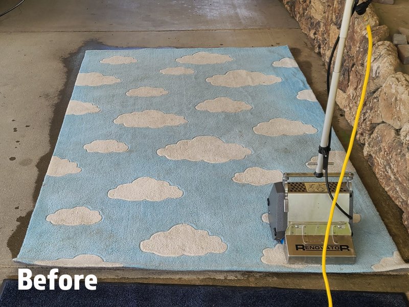 Rug cleaning in process in Redding carpet cleaner