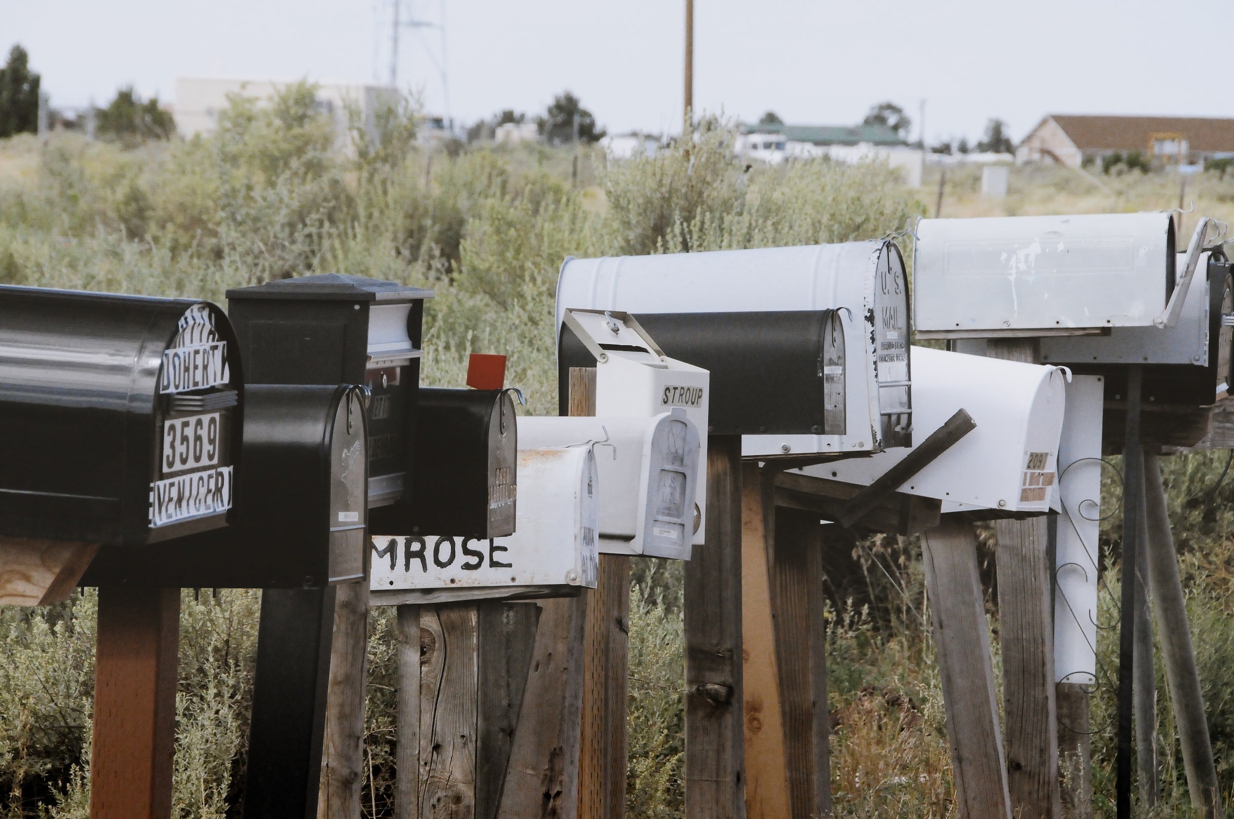 August 2021 Newsletter