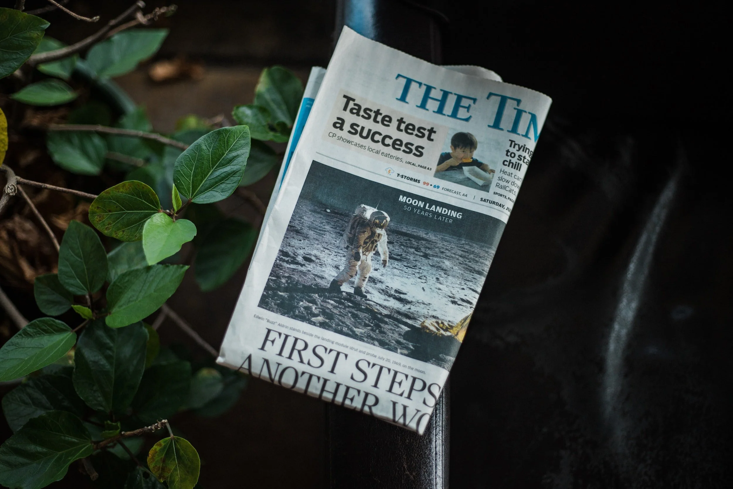 January 2022 Newsletter