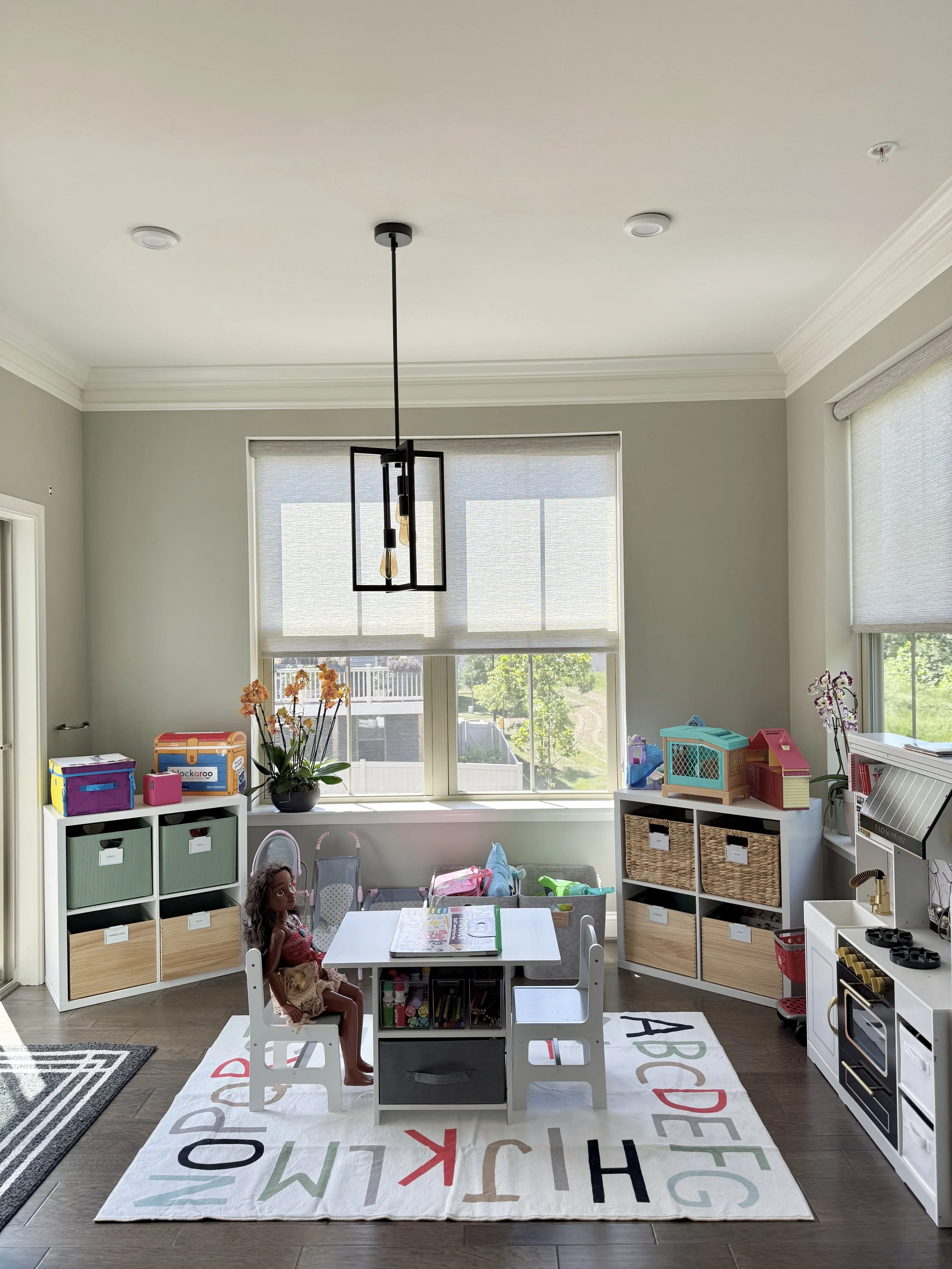 Playroom organizing-annapolis-home organizer.jpg