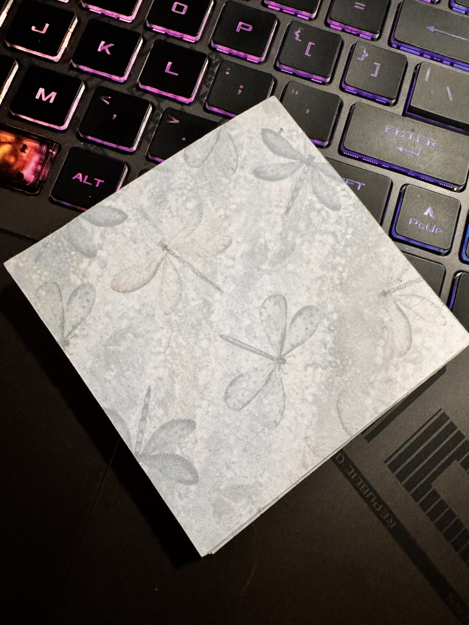 dragonfly-sticky-notes.JPEG