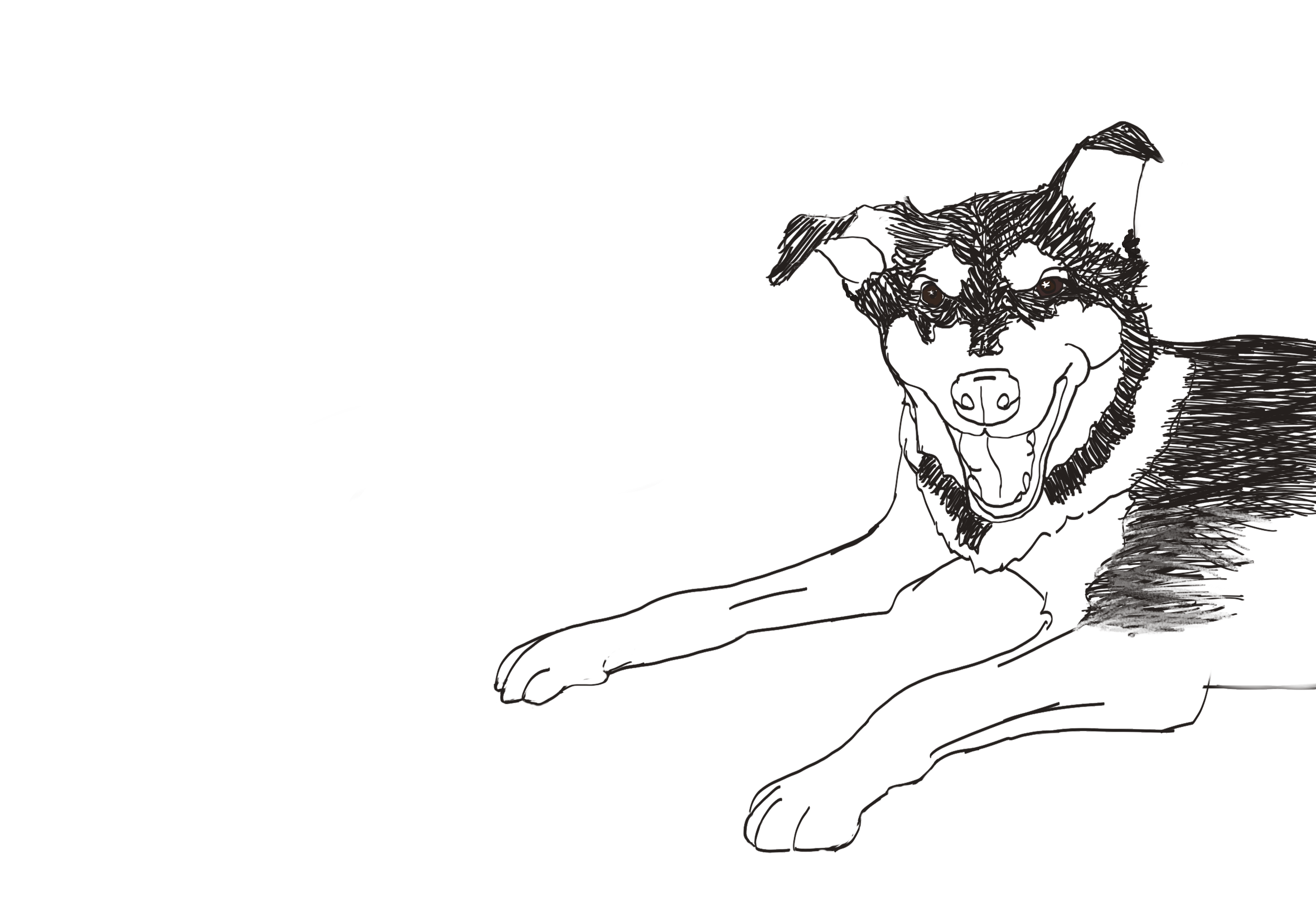 Oscar, digital, 2022