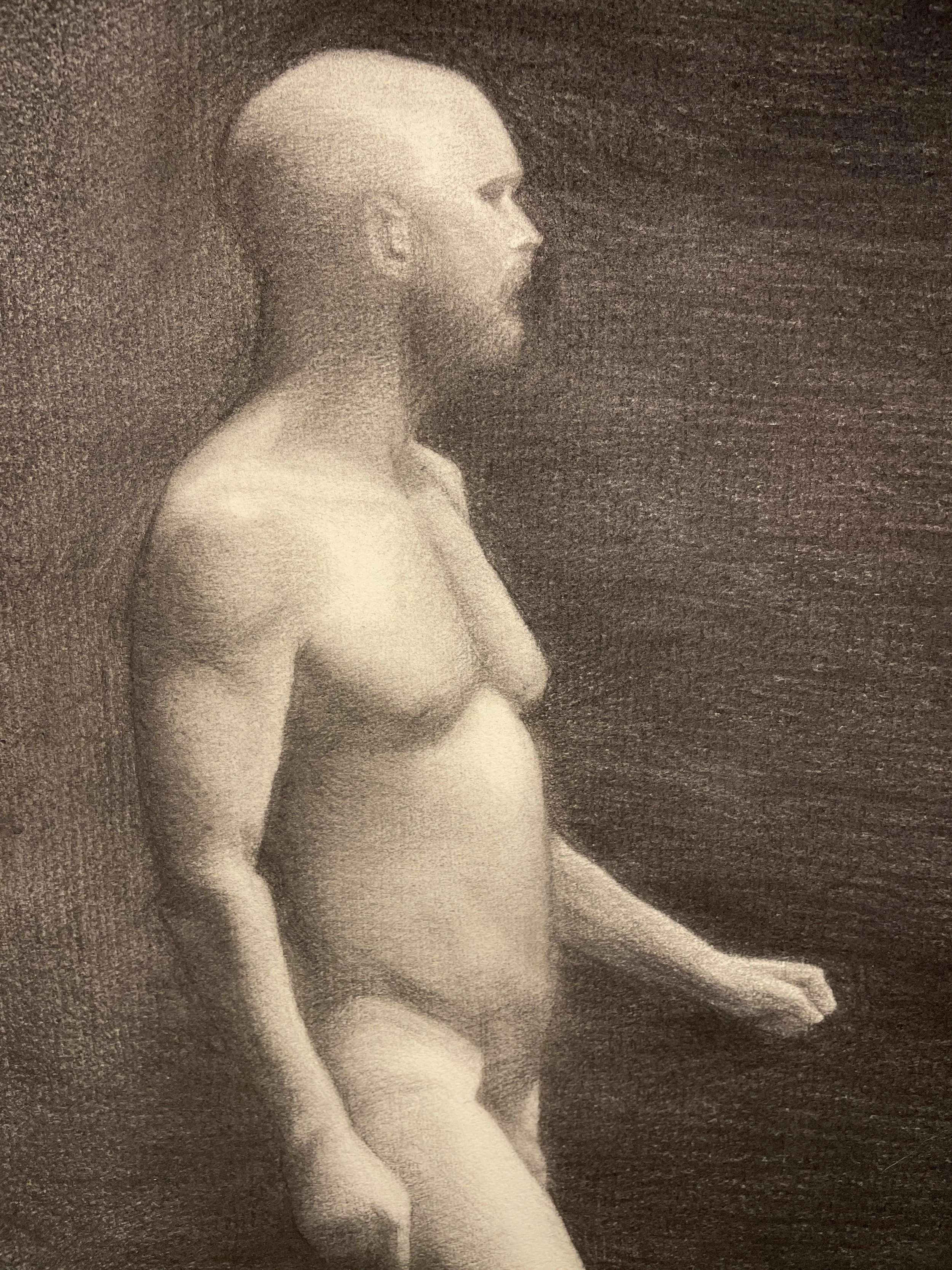 Probity II, charcoal on roma, 2018