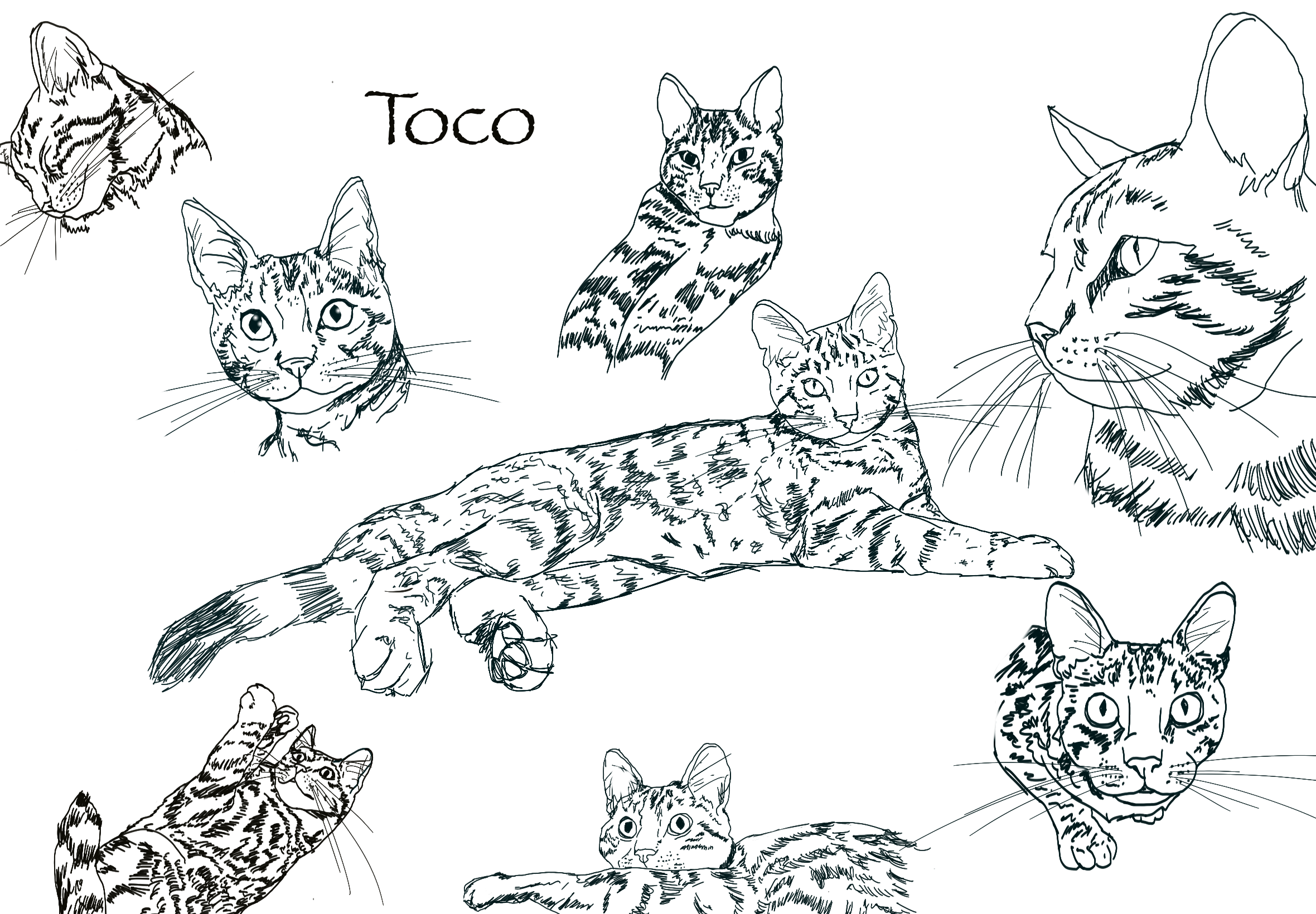 Toco, digital, 2022