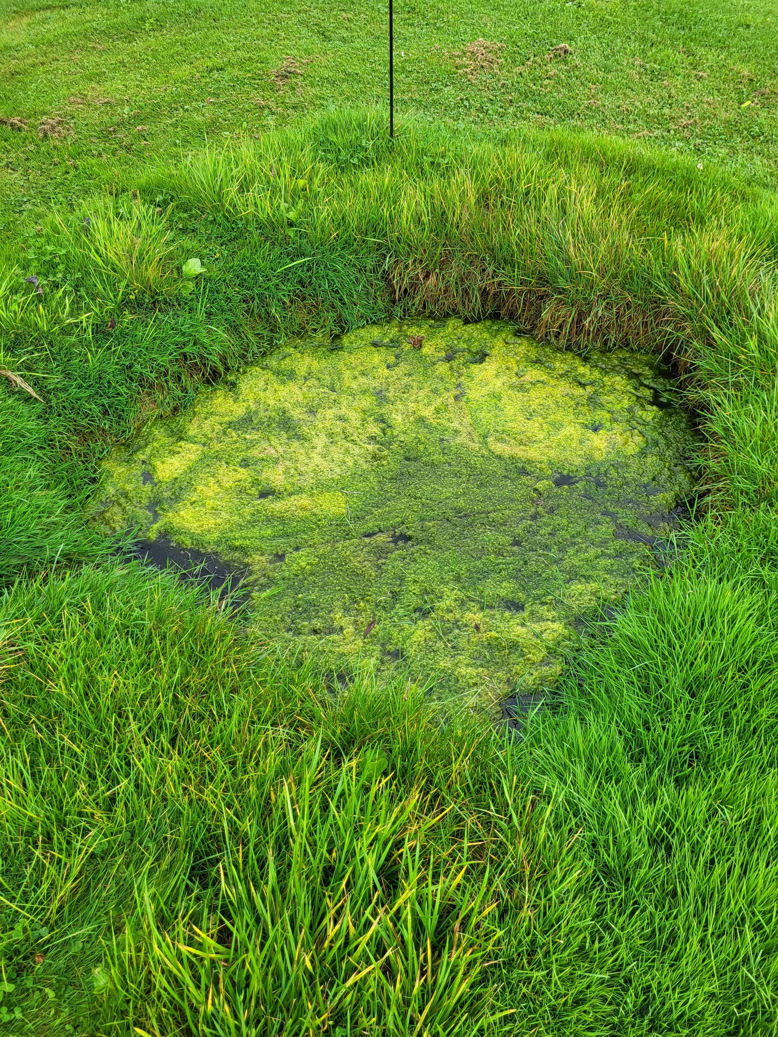 failed dry well