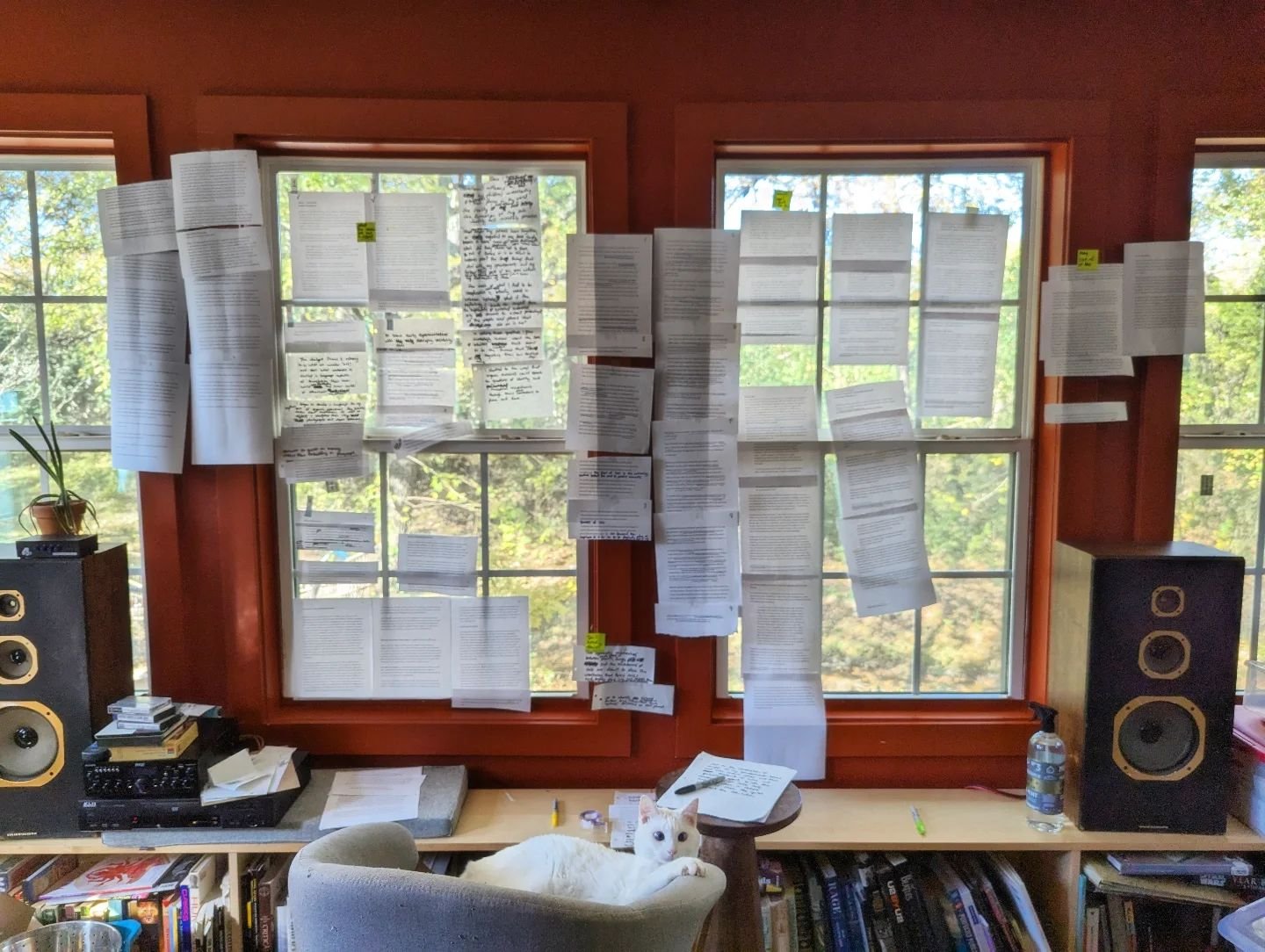 Making final thesis edits this week, with assistance from the dumbest cat in the world. Wish me luck and good vibes and prayers and all that. And keep your fingers crossed that the non-art dept committee member who left in the middle of my original d