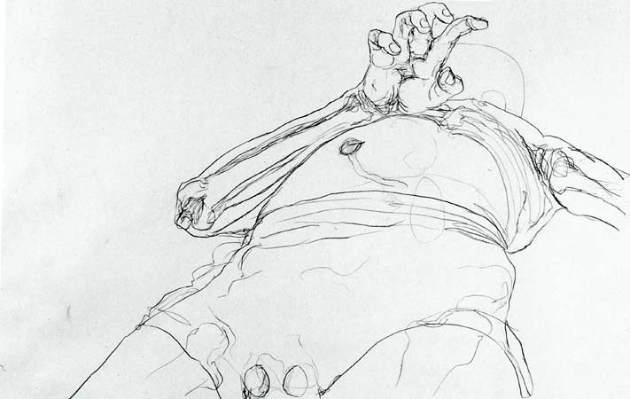 Chloe Piene- David from Below.jpg