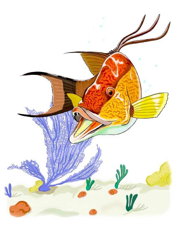 Colorful deep-sea fish with orange, yellow, and black markings, swimming above coral and underwater plants.