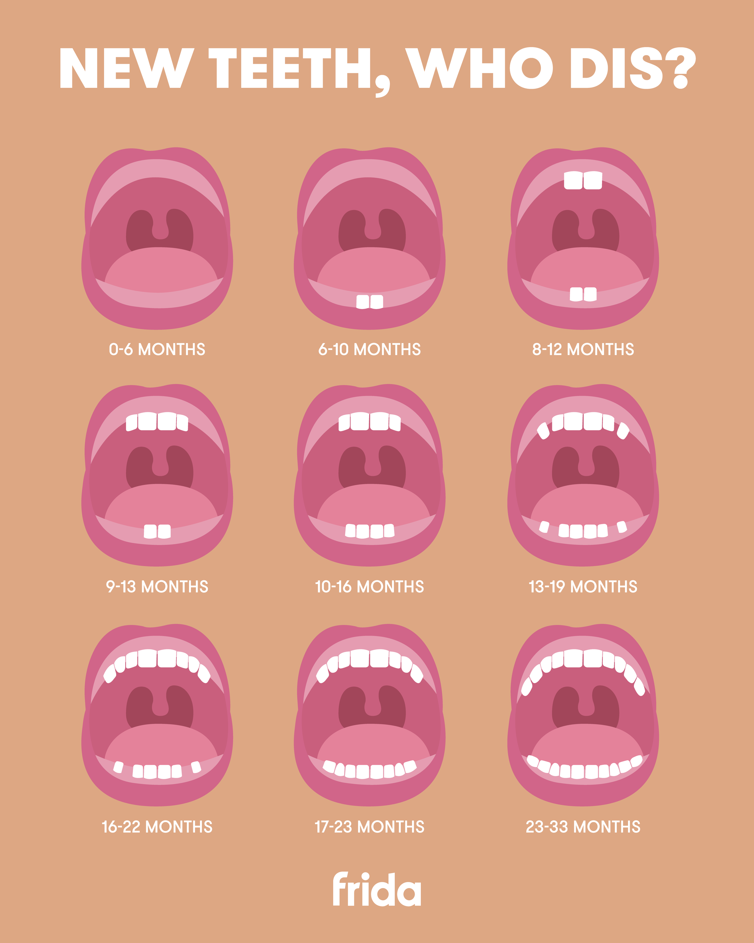 FB_Social_Teething Chart + Timeline_051525.png