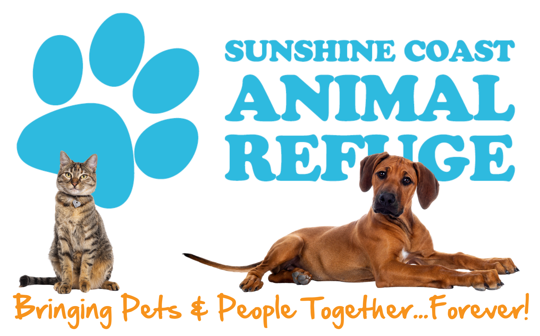 Sunshine Coast Animal Refuge (SCARS)