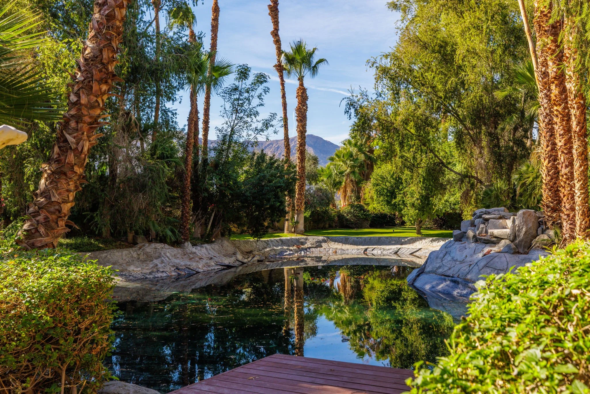 Palm trees surrounding a small pond with rocky edges in a lush garden with mountains in the background.
