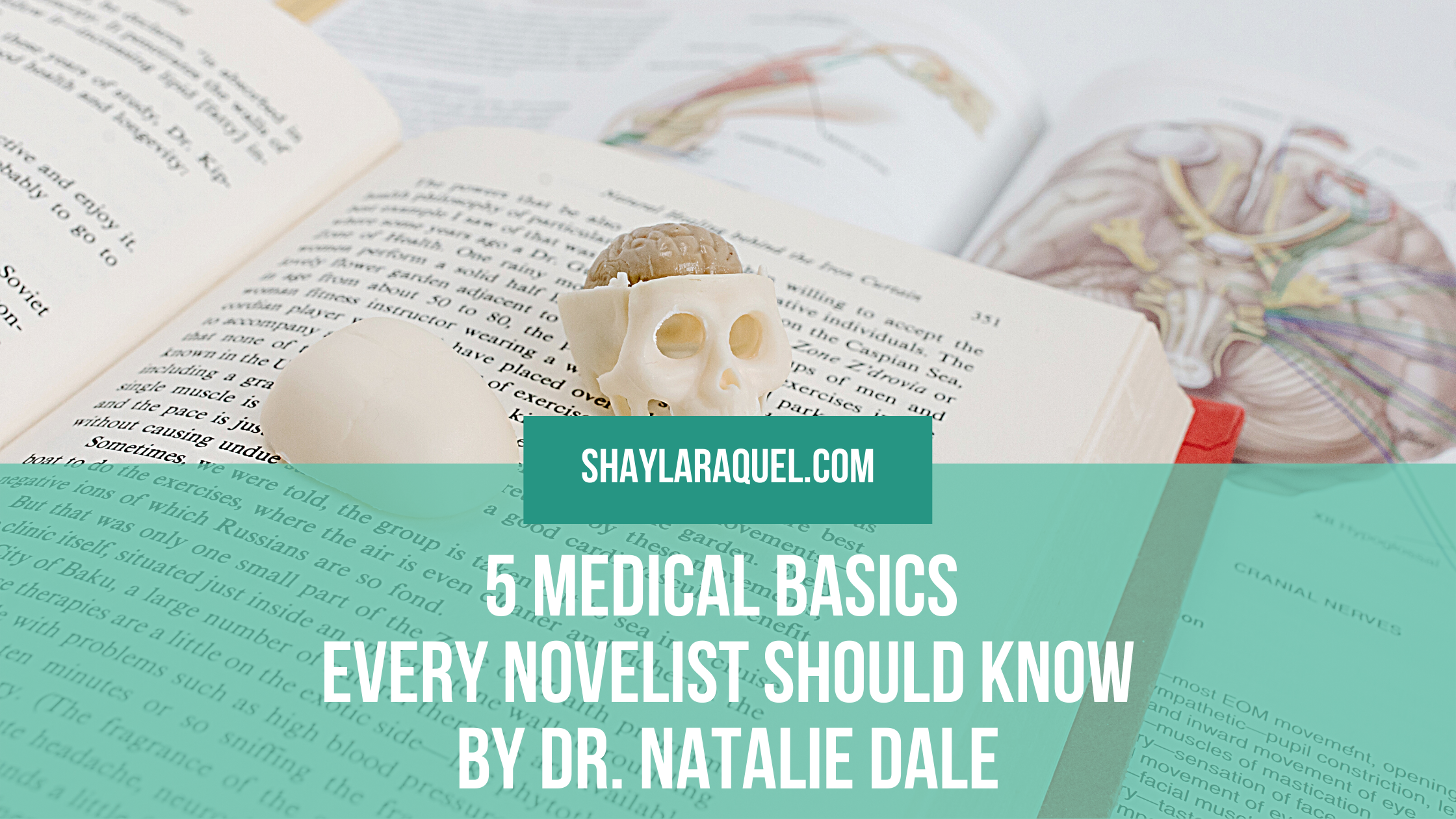 5 Medical Basics Every Novelist Should Know