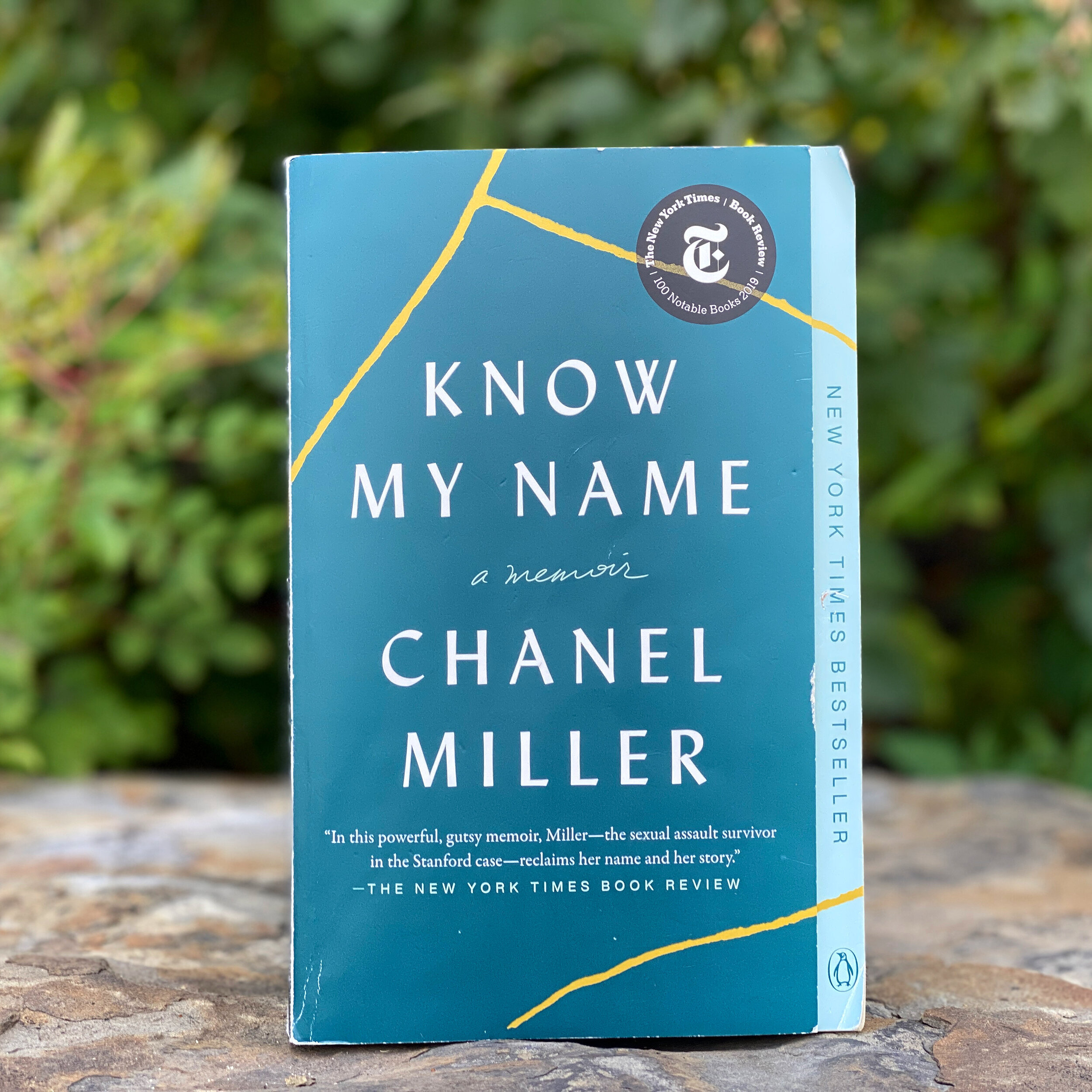 Know My Name by Chanel Miller