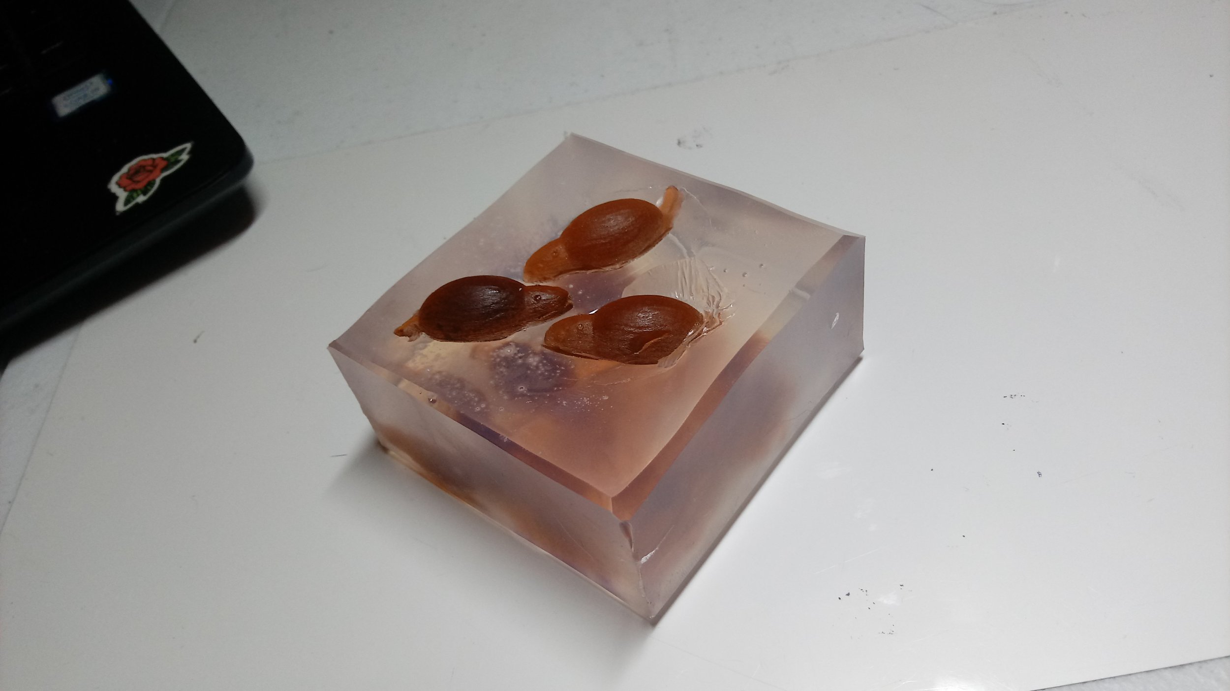 SUNY New Paltz // Rats // Cast in Soap