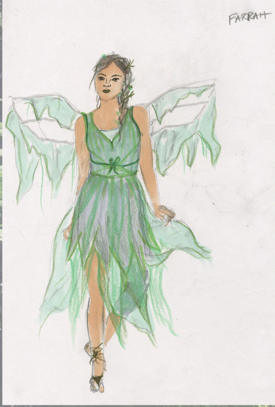 For this project I focused on the wings of this character.