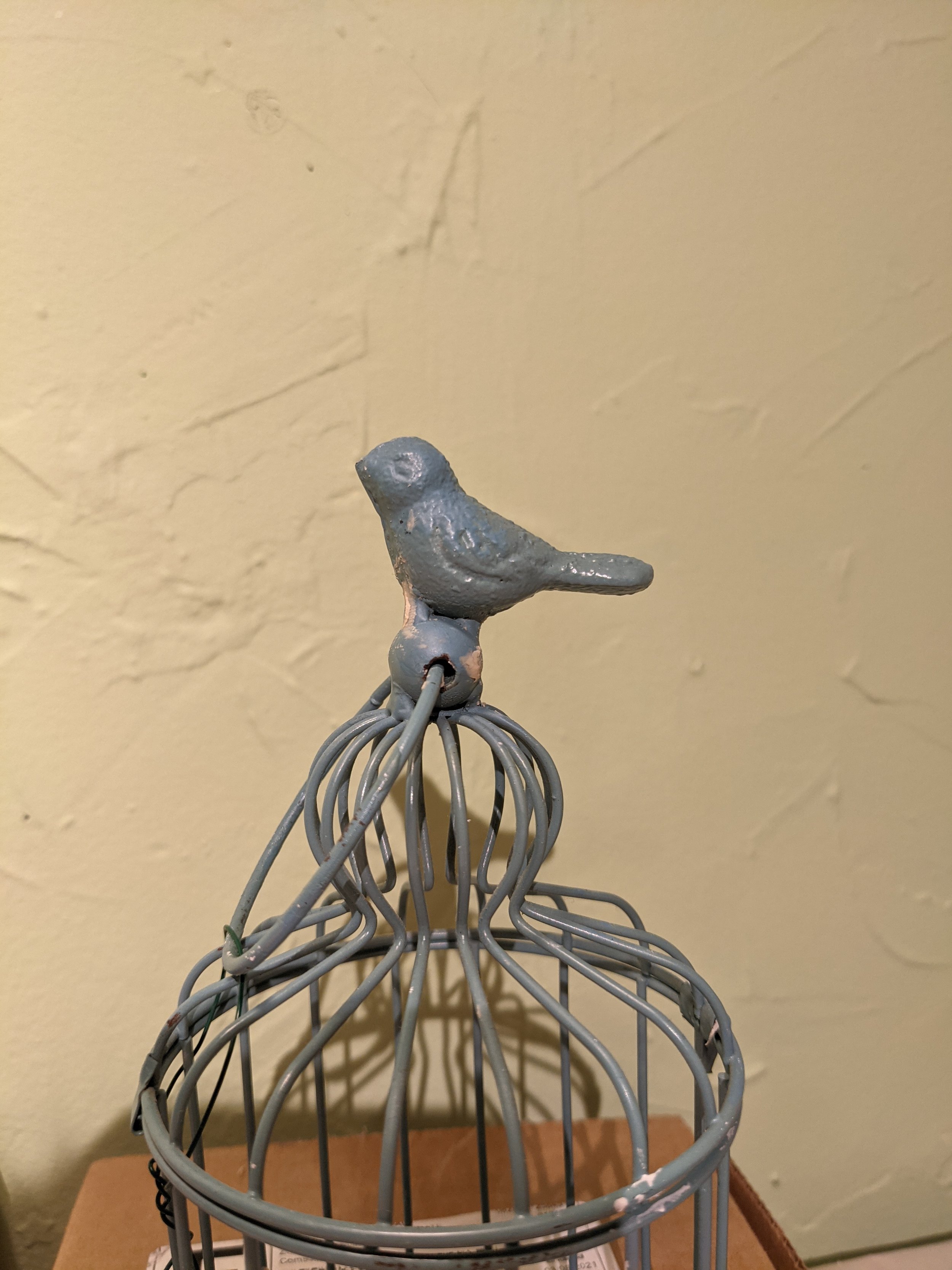 SUNY New Paltz // Bird