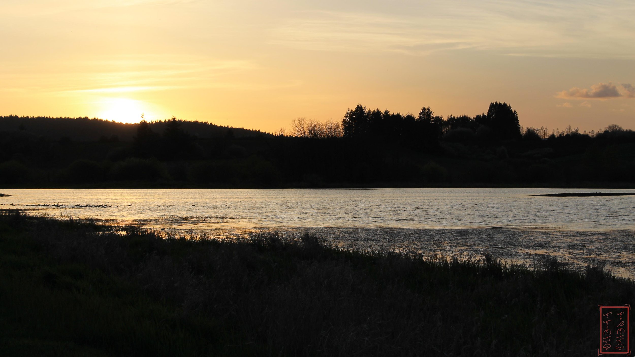 OR: Baskett Slough
