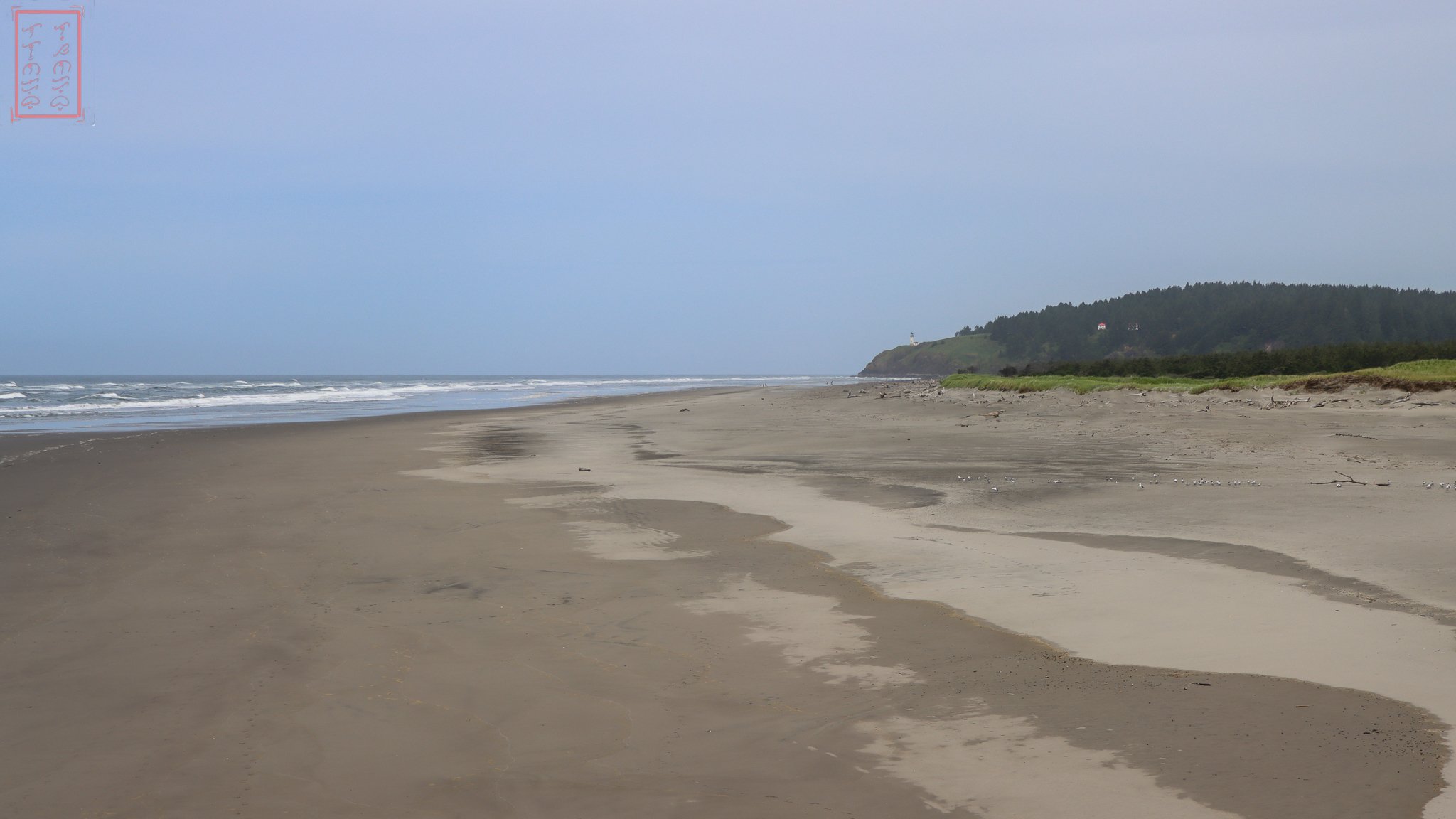 WA: Cape Disappointment