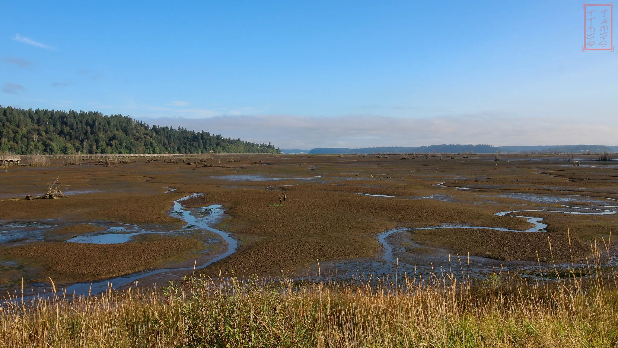 WA: Billy Frank Jr. Nisqually National Wildlife Refuge