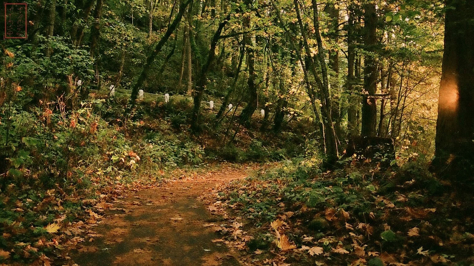 OR: Bridal Veil Falls