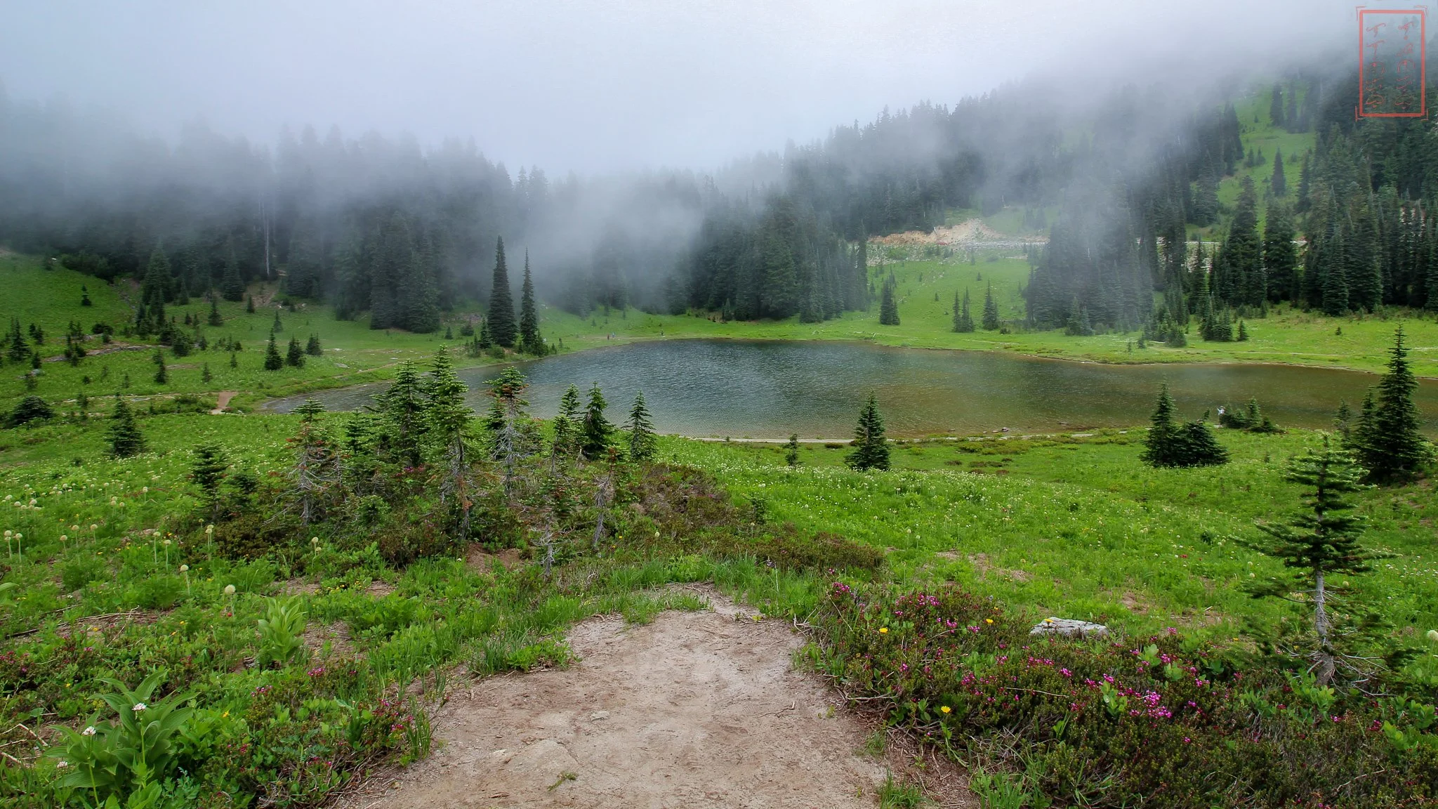 WA: Naches Peak Loop