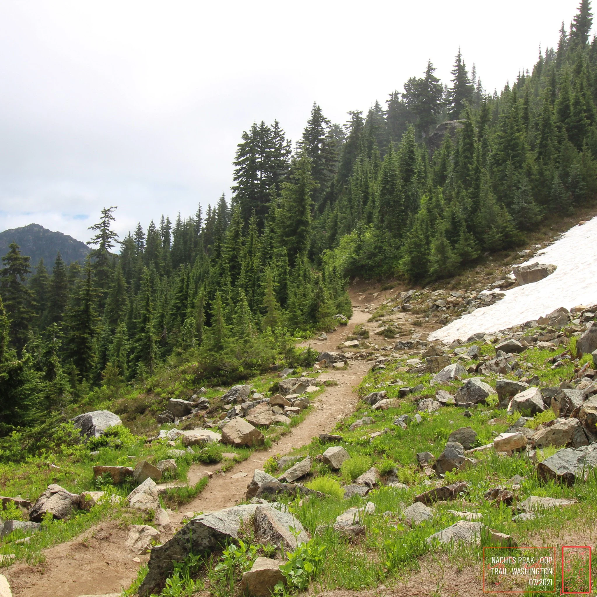WA: Naches Peak Loop