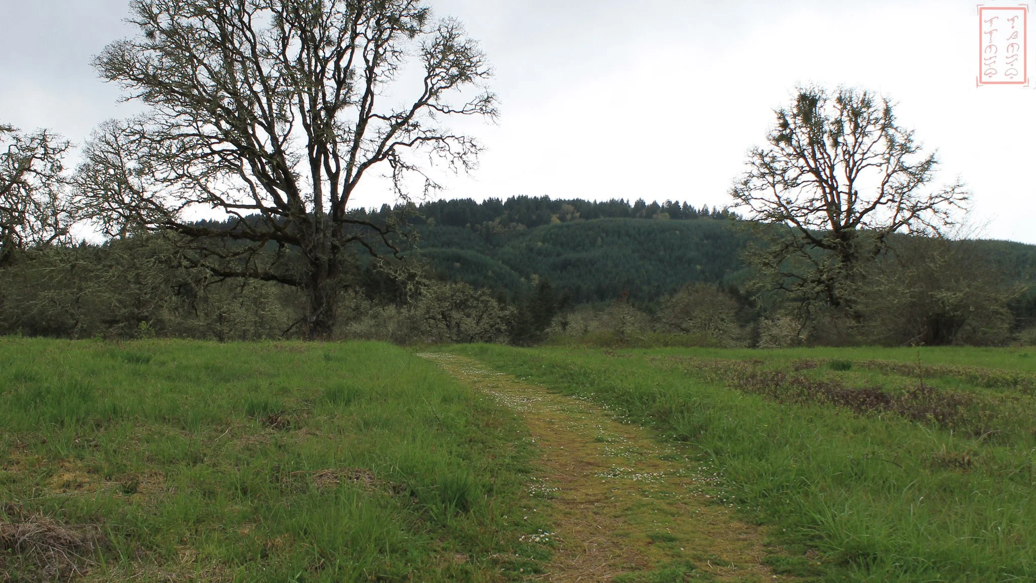 OR: William L. Finley National Wildlife Refuge