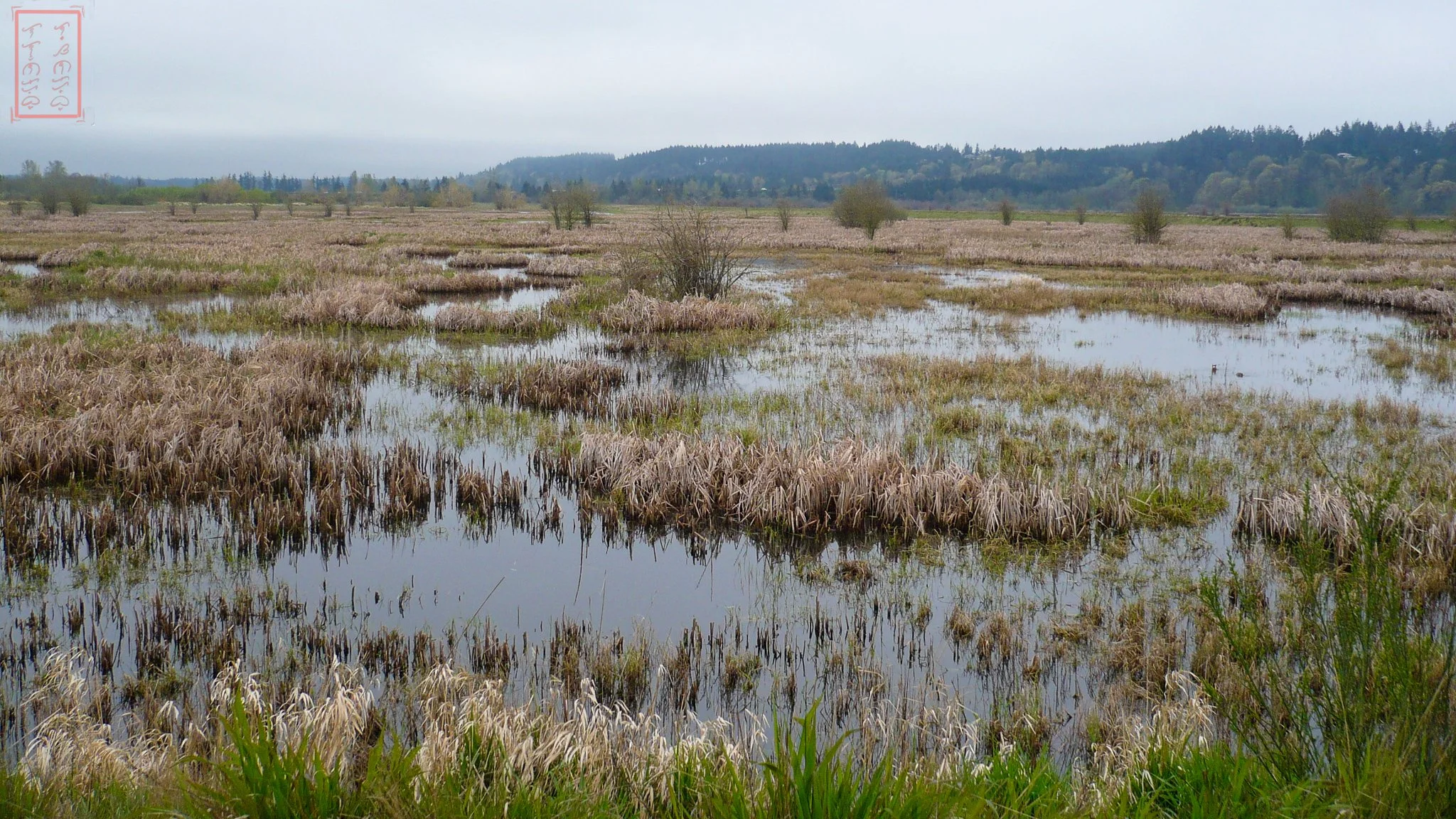 WA: Billy Frank Jr. Nisqually National Wildlife Refuge