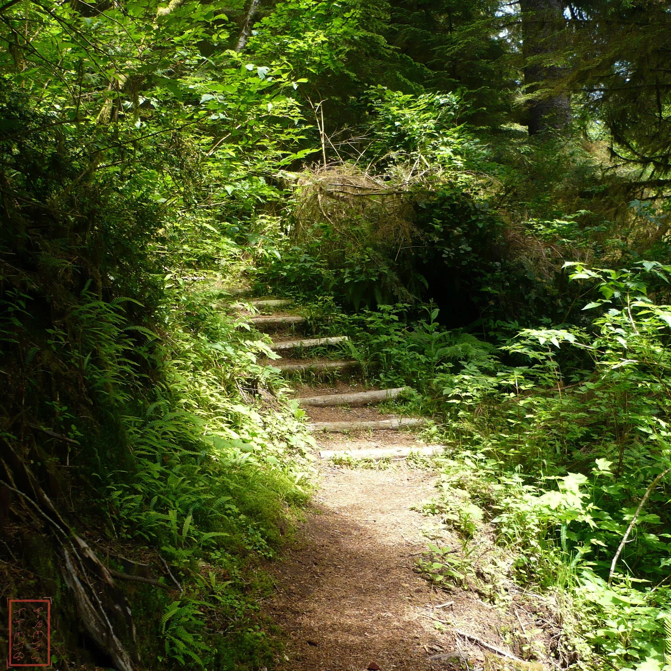 OR: Cape Perpetua