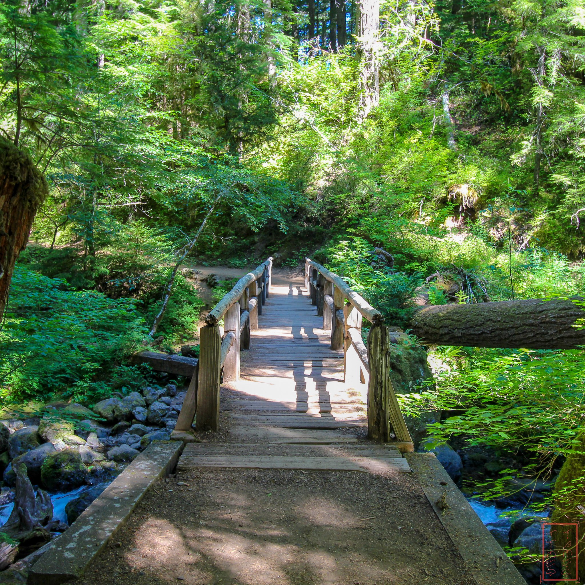 WA: Silver Falls