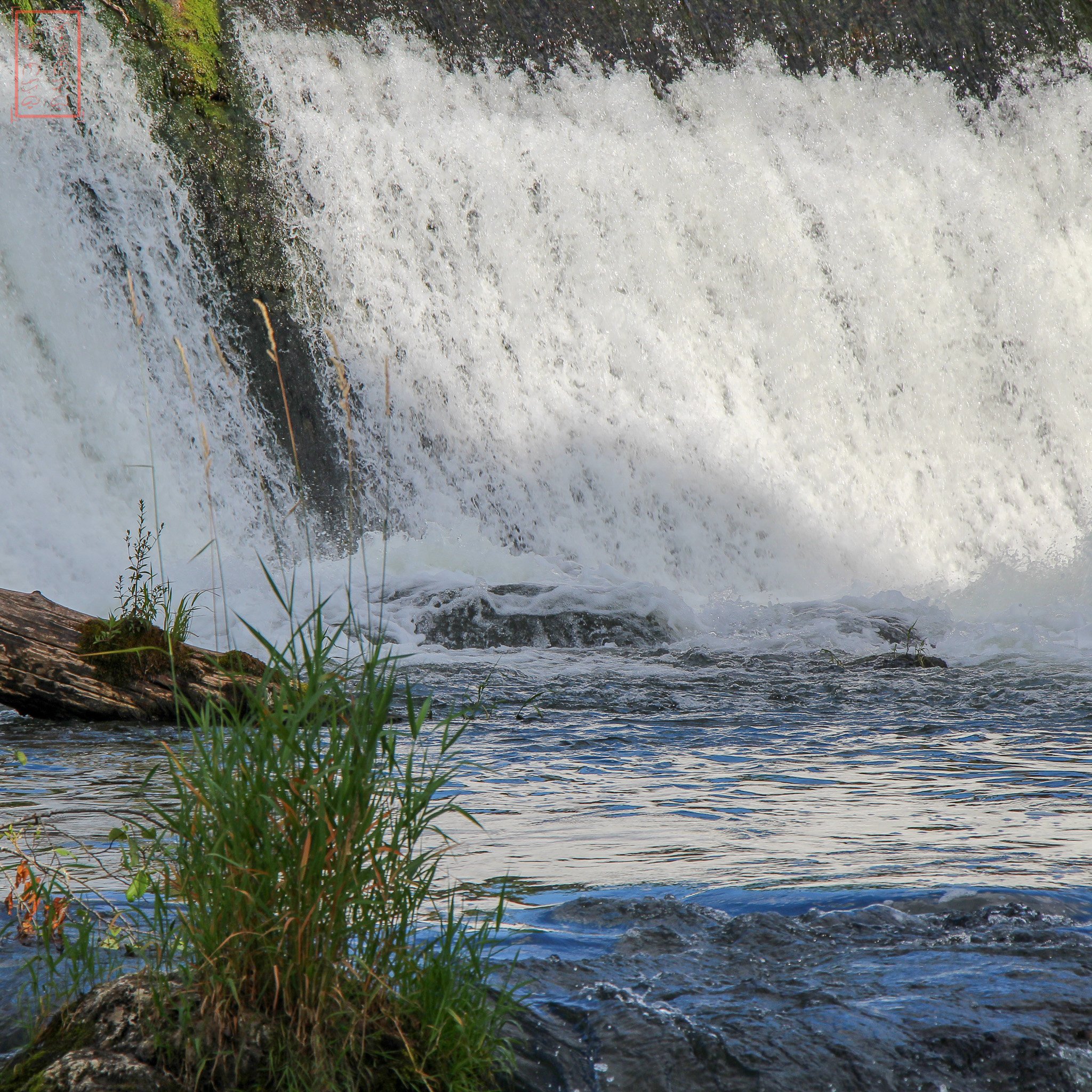 WA: Tumwater Falls