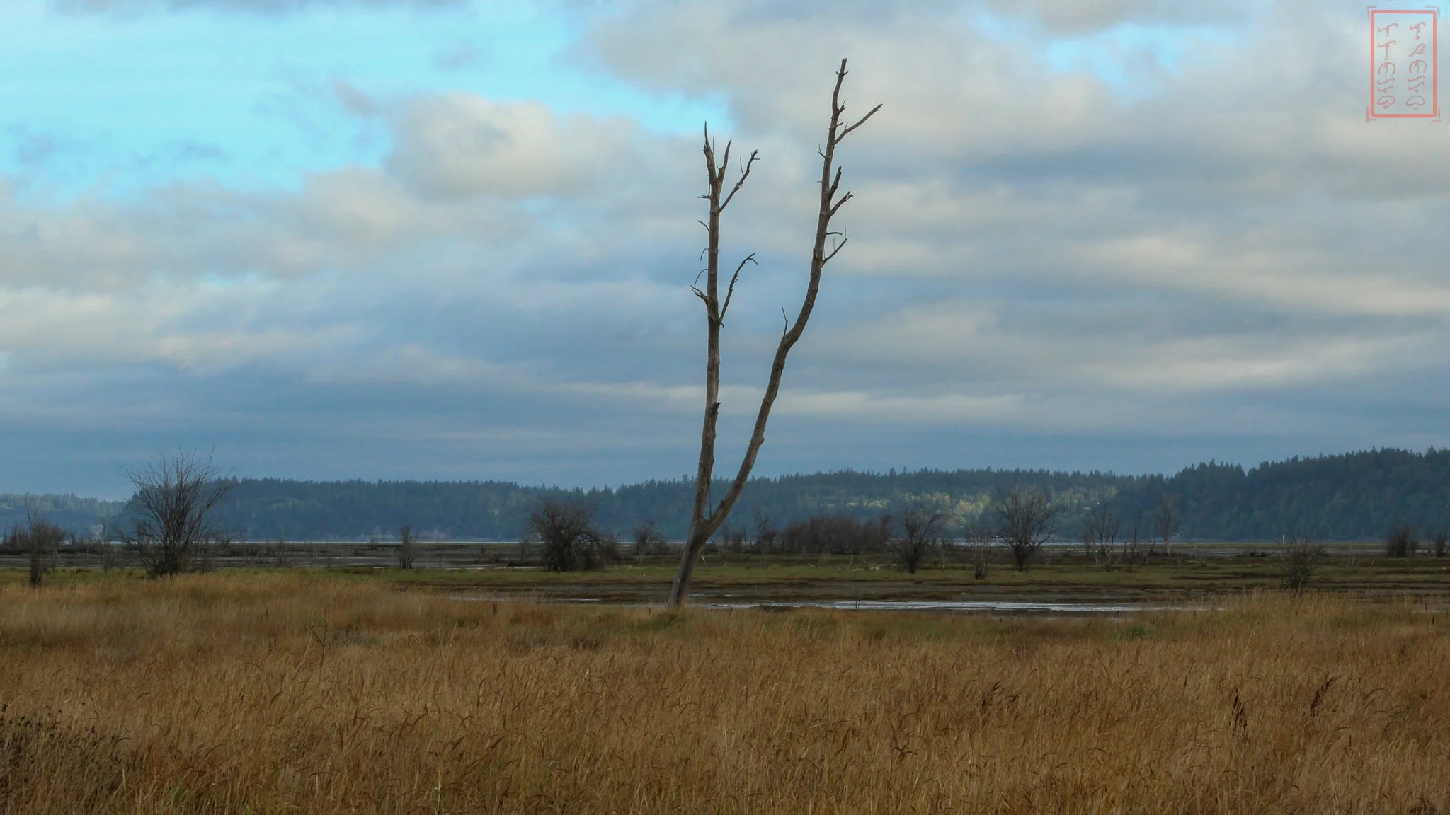 WA: Billy Frank Jr. Nisqually National Wildlife Refuge