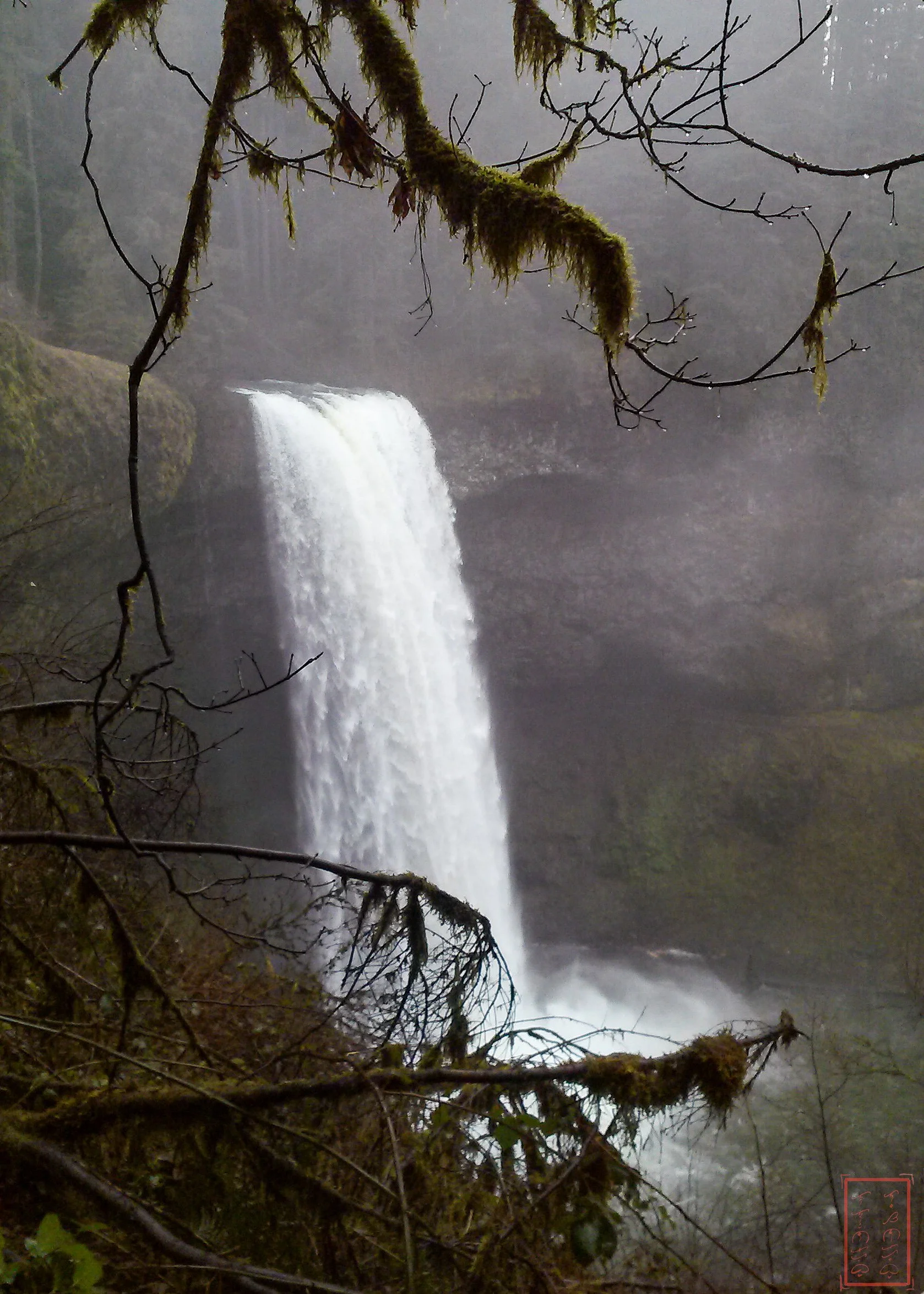 OR: Silver Falls