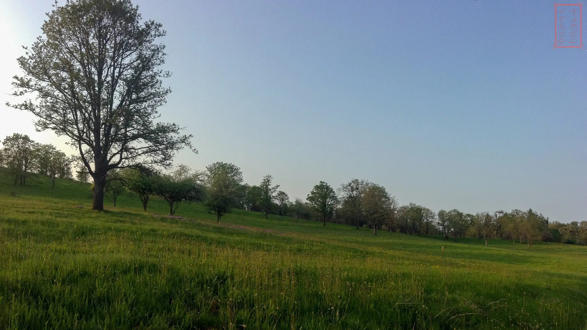 OR: William L. Finley National Wildlife Refuge