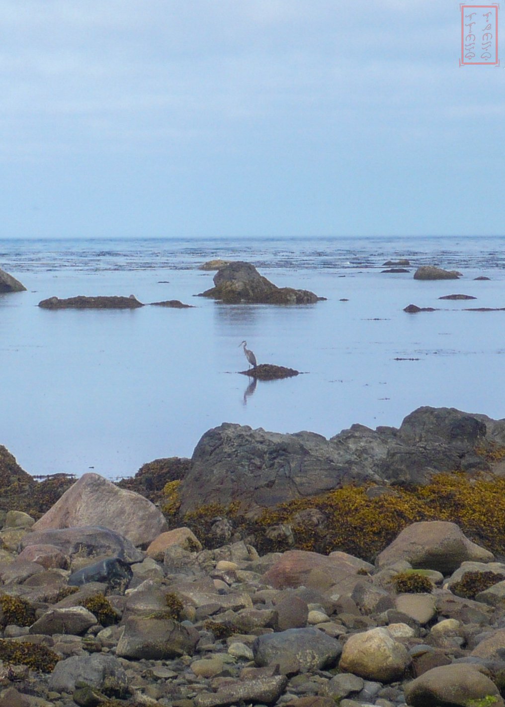 WA: Ozette Triangle