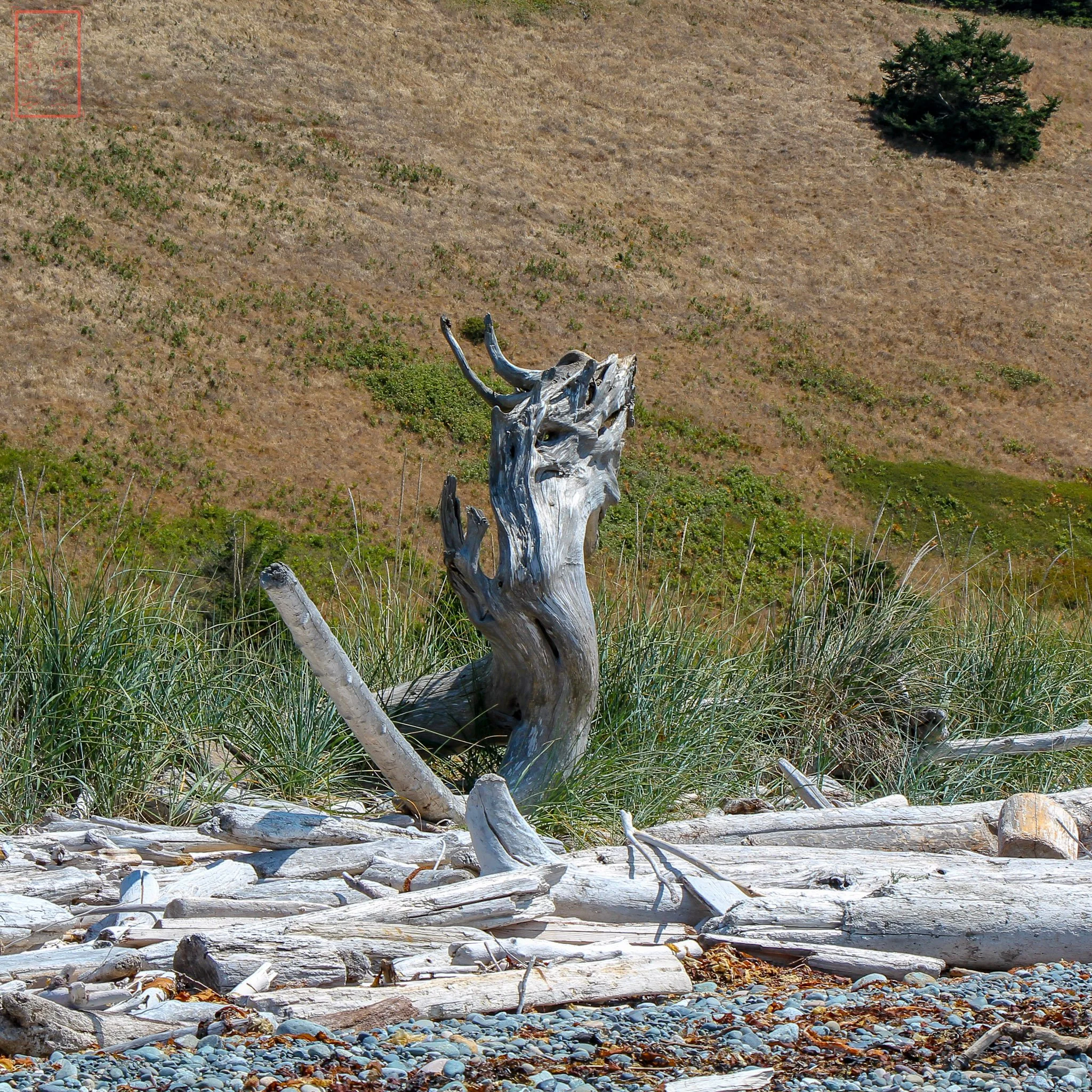 WA: Ebey's Landing