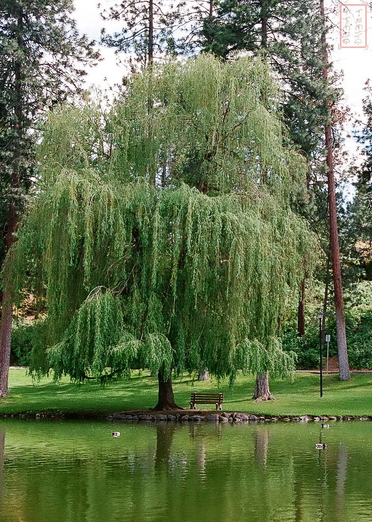 SPOKANE_5X7-5-2.jpg