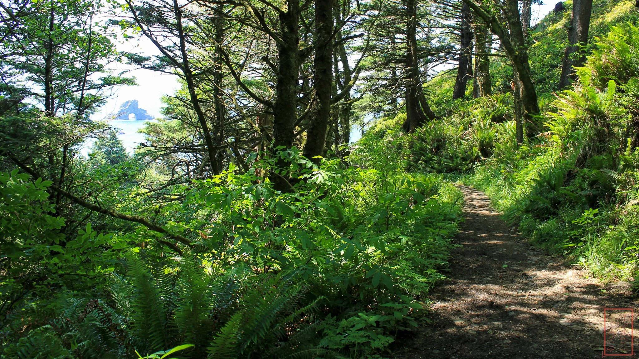 OR: Ecola State Park