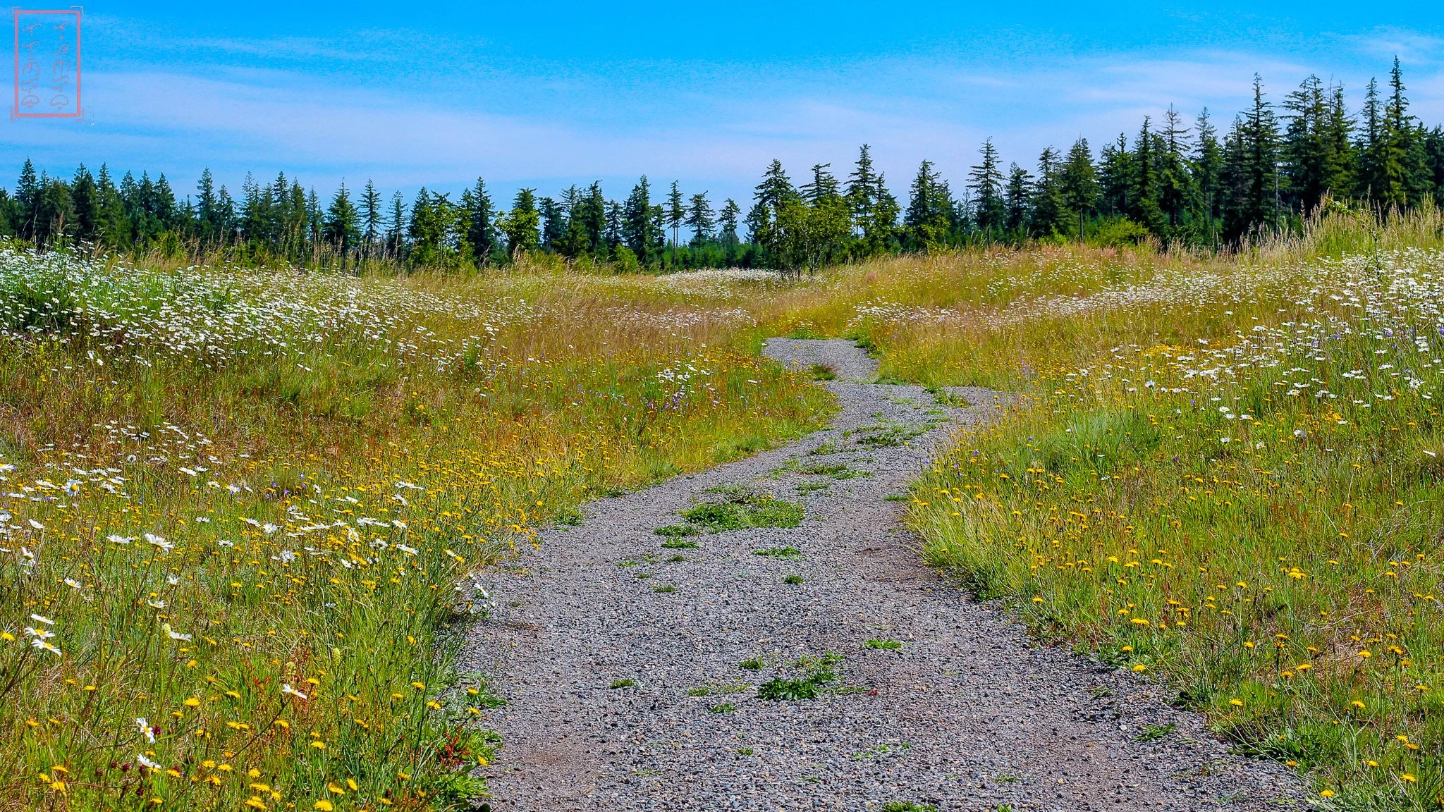 WA: Mima Mounds