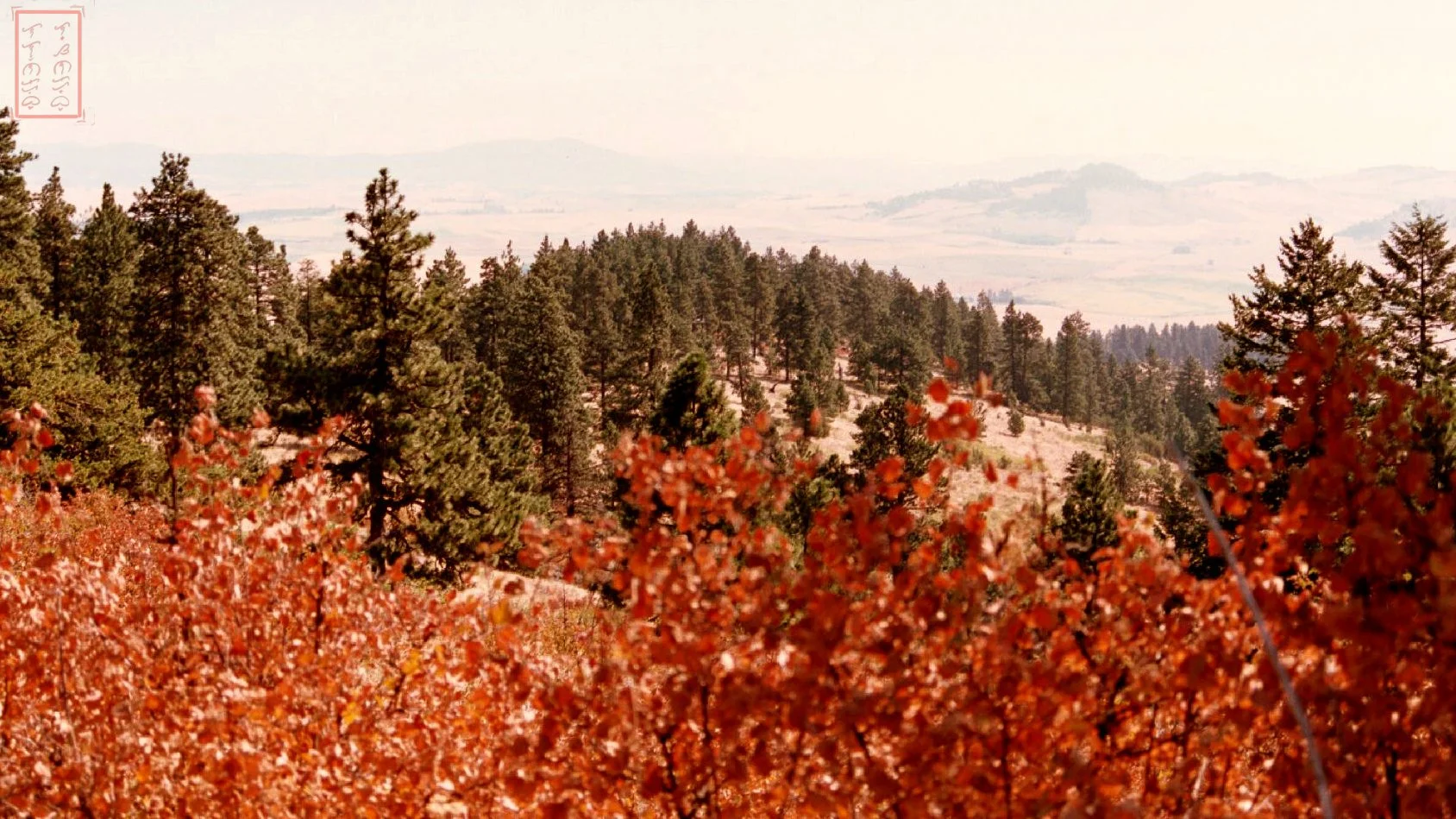 WA:  Kamiak Butte County Park