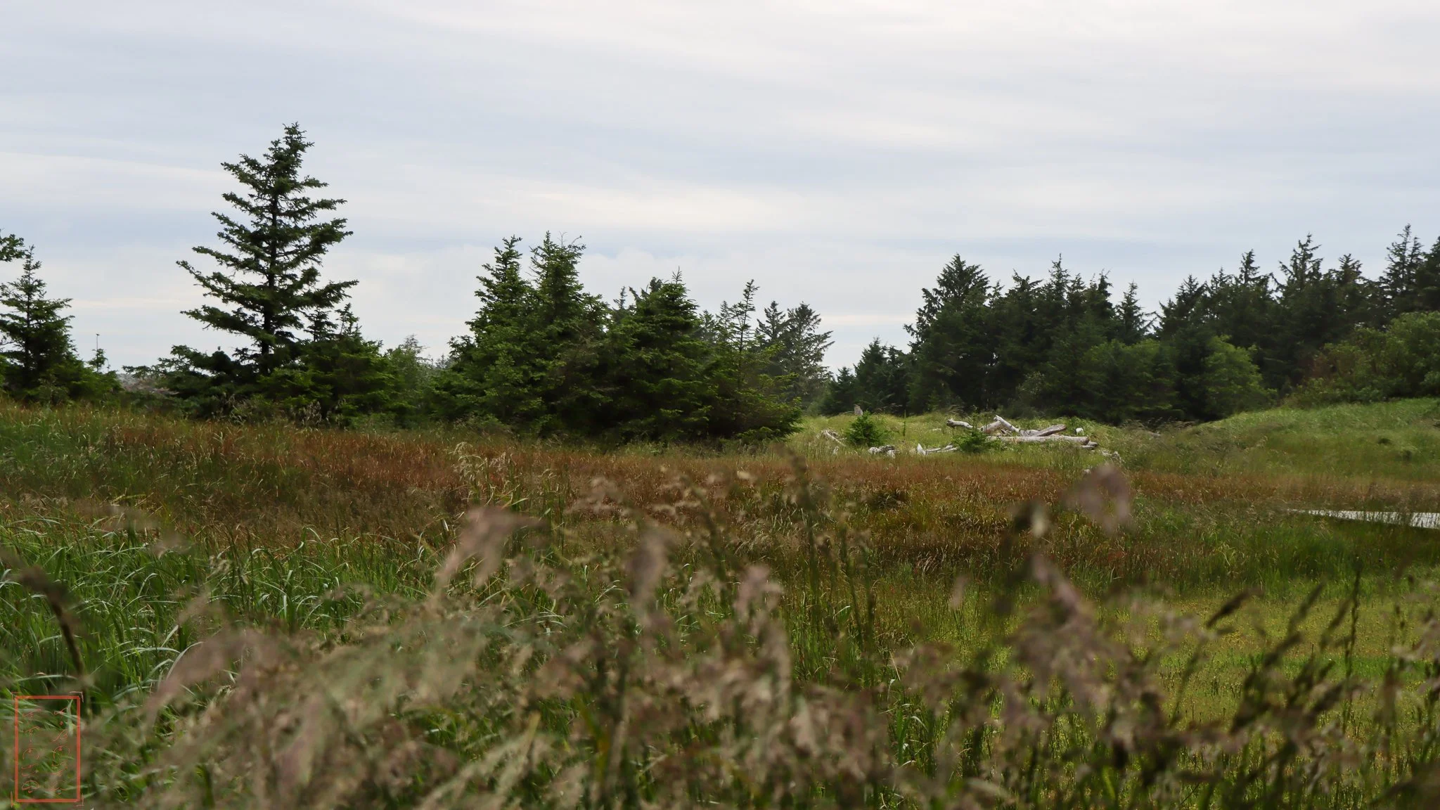 WA: Cape Disappointment