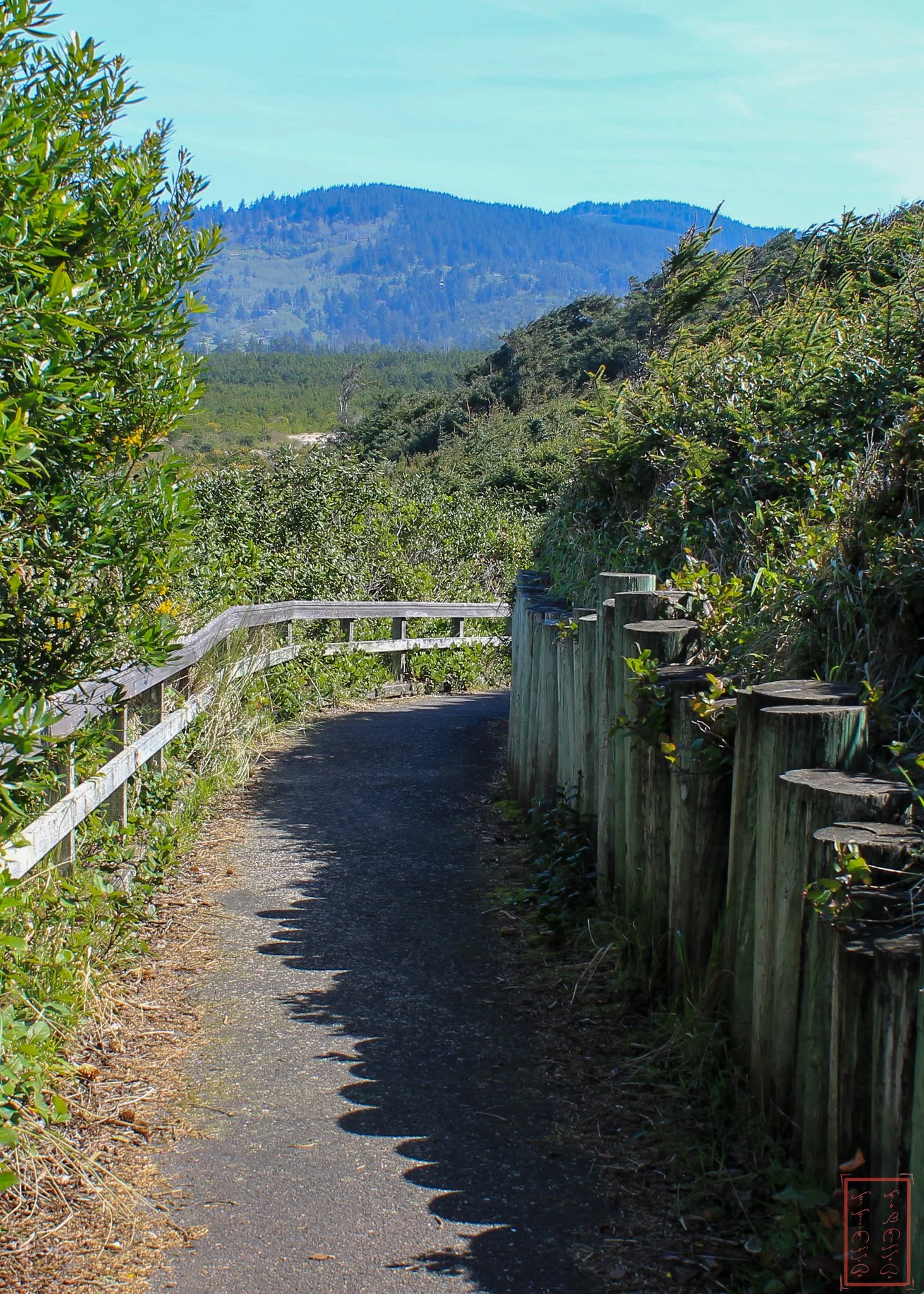 OR: Sutton Creek